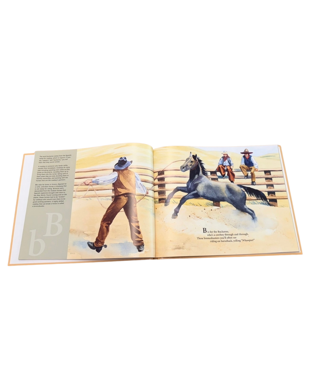 B is for Buckaroo